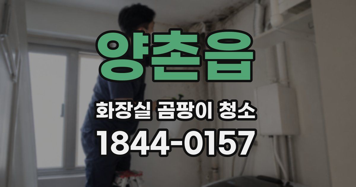 양촌읍 화장실 곰팡이 청소