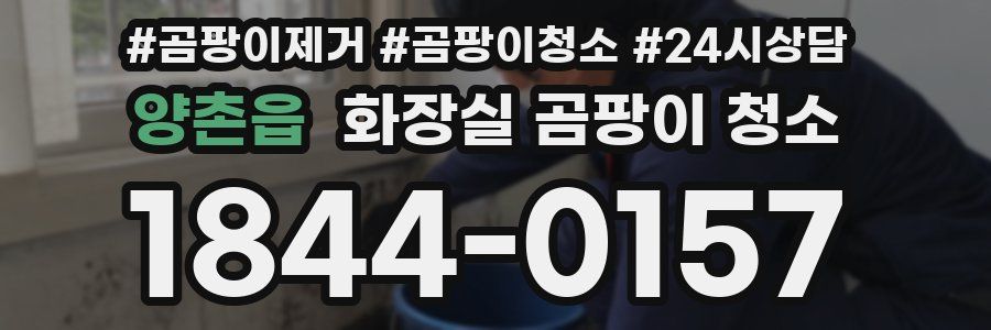 양촌읍 화장실 곰팡이 청소
