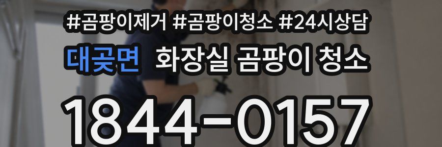 대곶면 화장실 곰팡이 청소