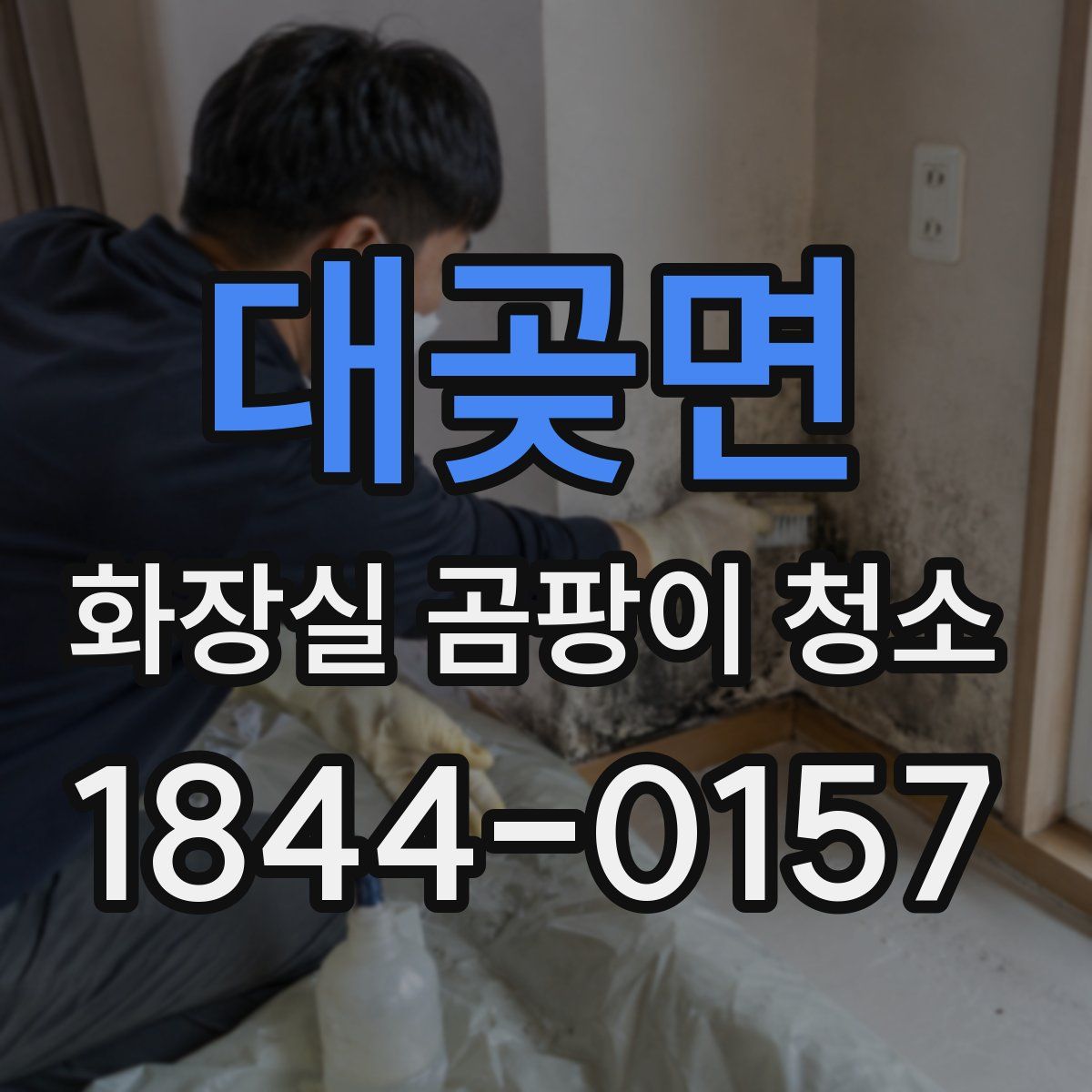 대곶면 화장실 곰팡이 청소