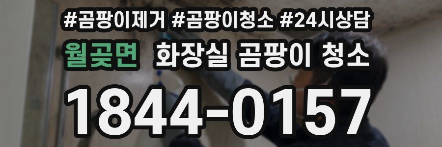 월곶면 화장실 곰팡이 청소
