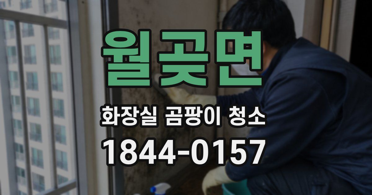 월곶면 화장실 곰팡이 청소