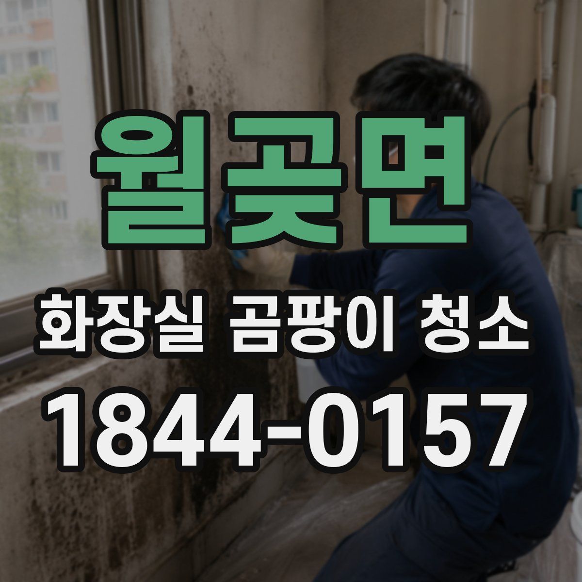 월곶면 화장실 곰팡이 청소