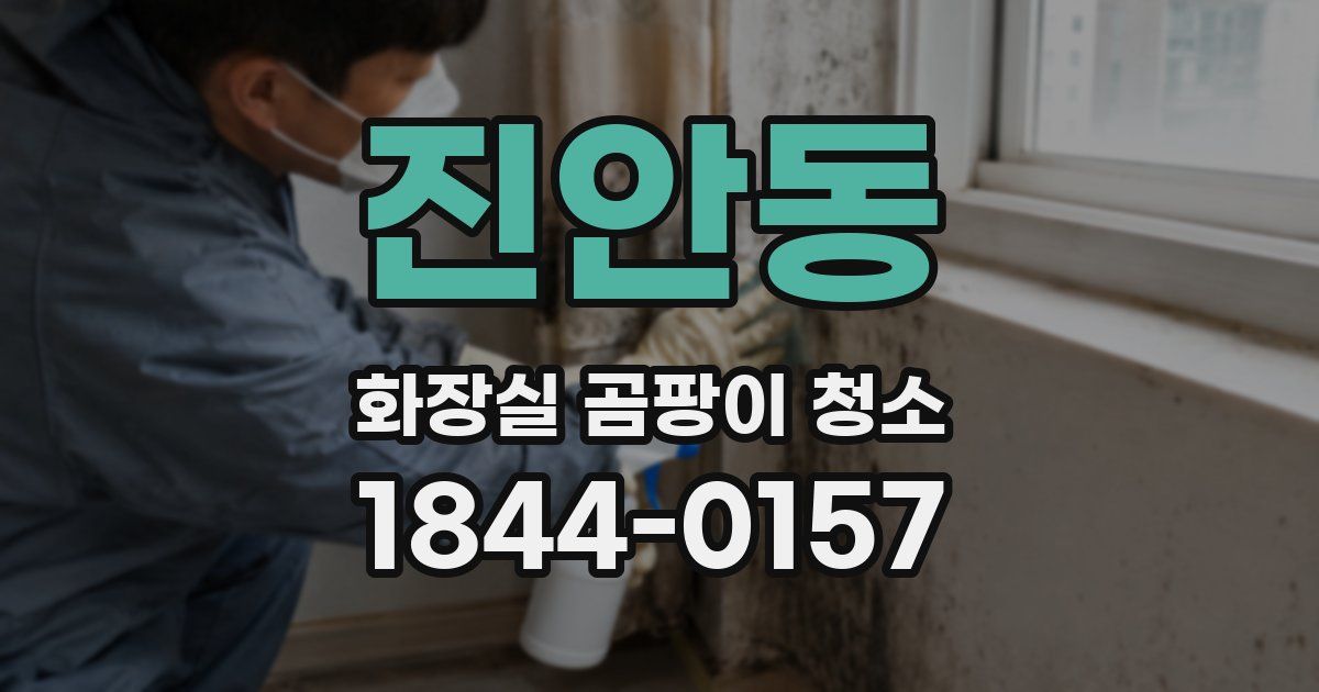 진안동 화장실 곰팡이 청소