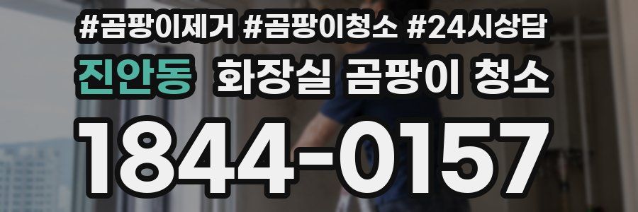 진안동 화장실 곰팡이 청소