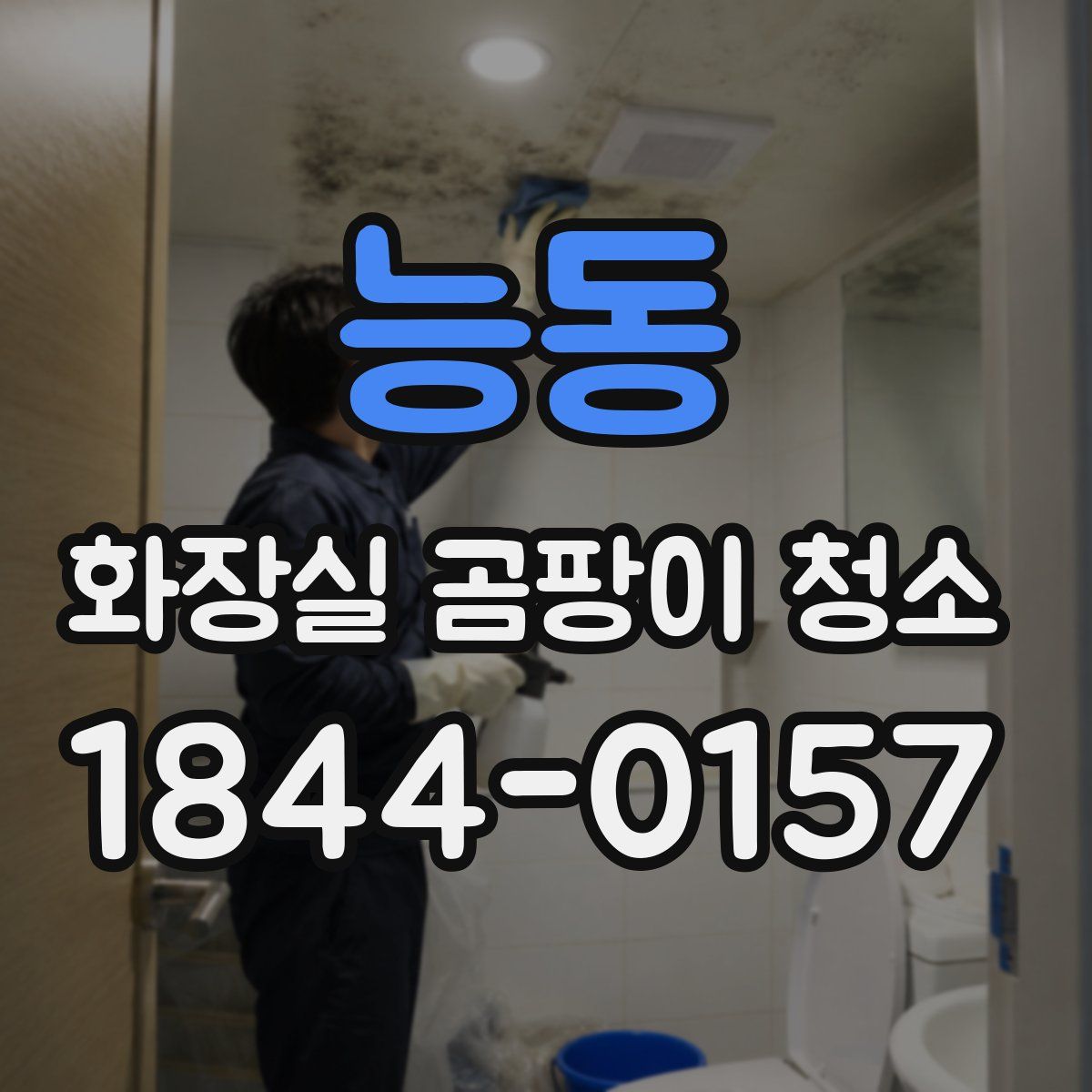 능동 화장실 곰팡이 청소