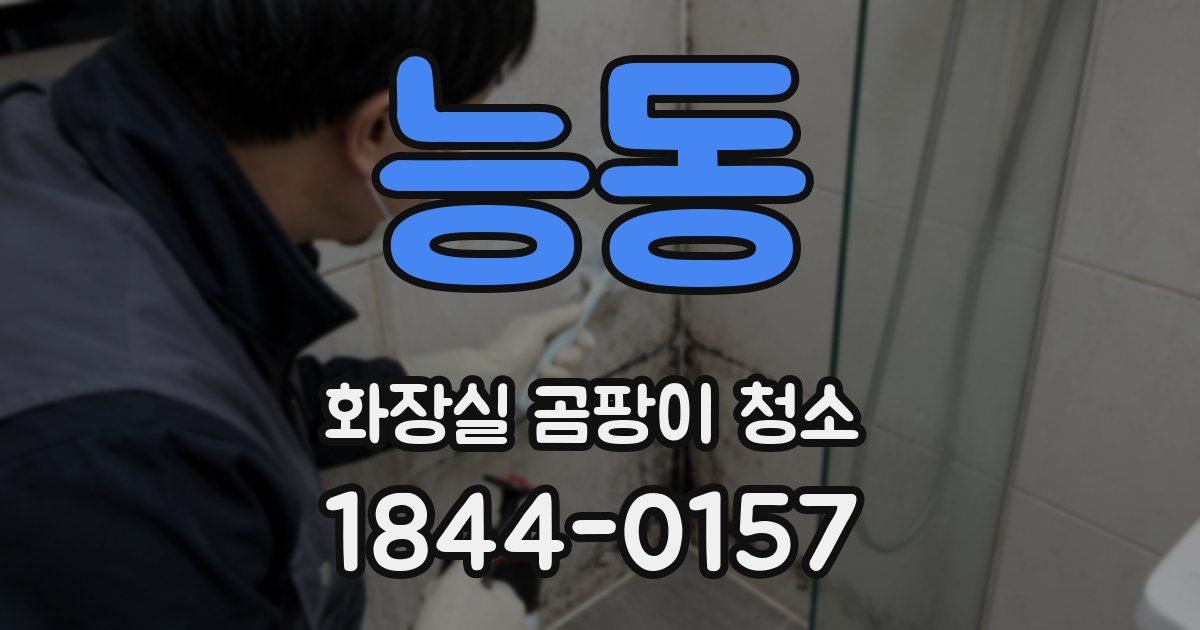 능동 화장실 곰팡이 청소