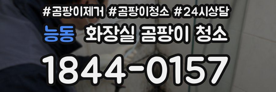 능동 화장실 곰팡이 청소
