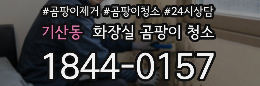 기산동 화장실 곰팡이 청소