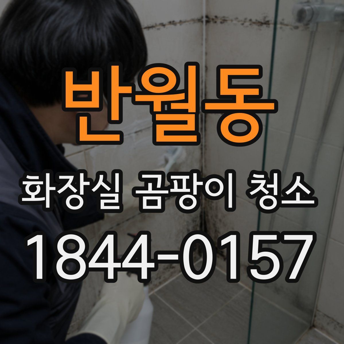 반월동 화장실 곰팡이 청소