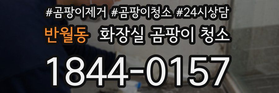 반월동 화장실 곰팡이 청소