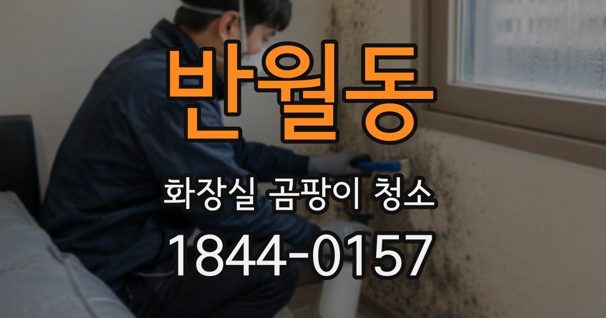 반월동 화장실 곰팡이 청소