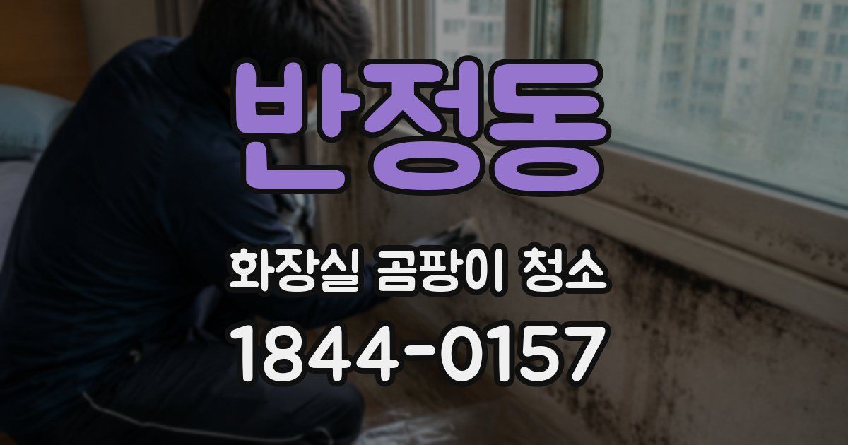 반정동 화장실 곰팡이 청소