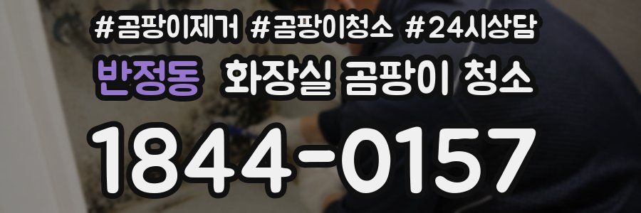 반정동 화장실 곰팡이 청소
