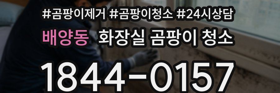 배양동 화장실 곰팡이 청소