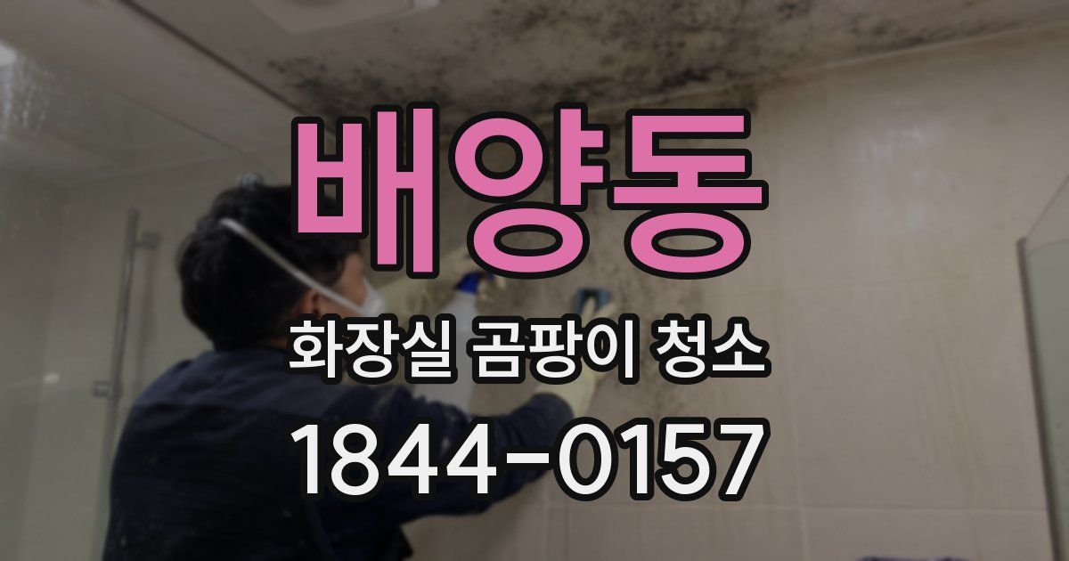 배양동 화장실 곰팡이 청소