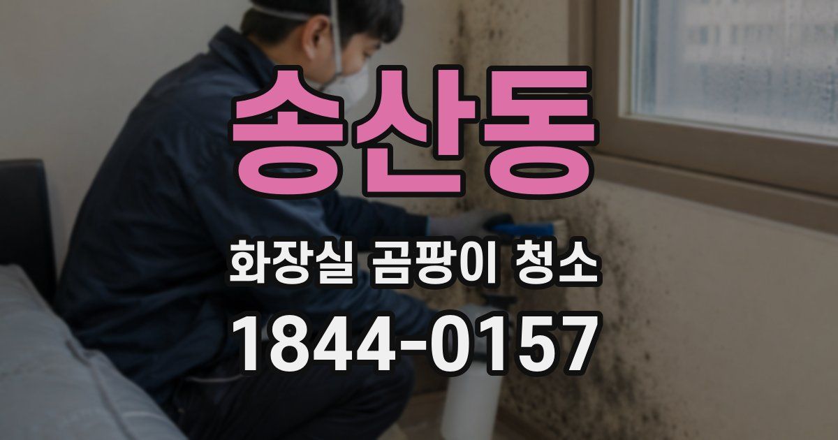 송산동 화장실 곰팡이 청소