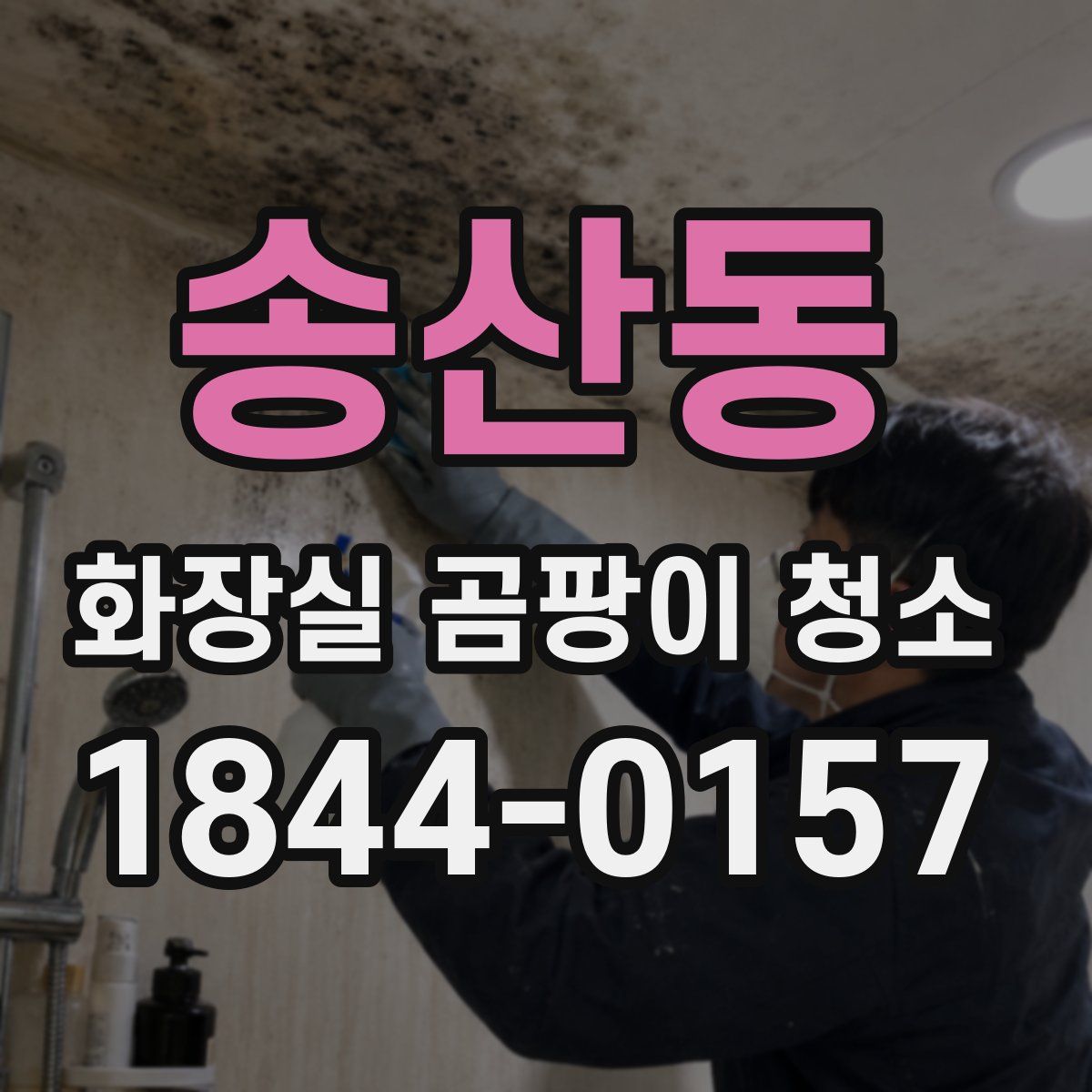송산동 화장실 곰팡이 청소