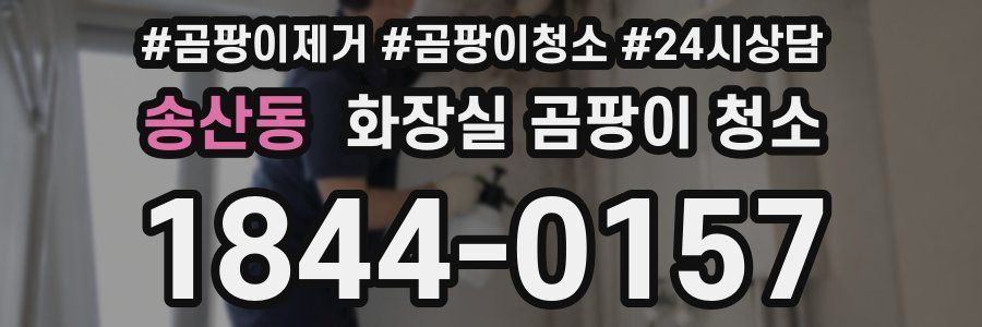 송산동 화장실 곰팡이 청소