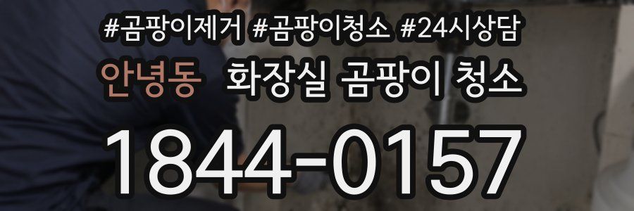 안녕동 화장실 곰팡이 청소