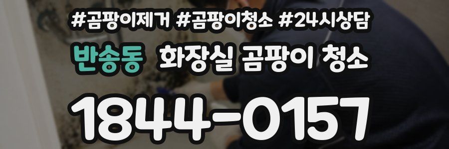 반송동 화장실 곰팡이 청소