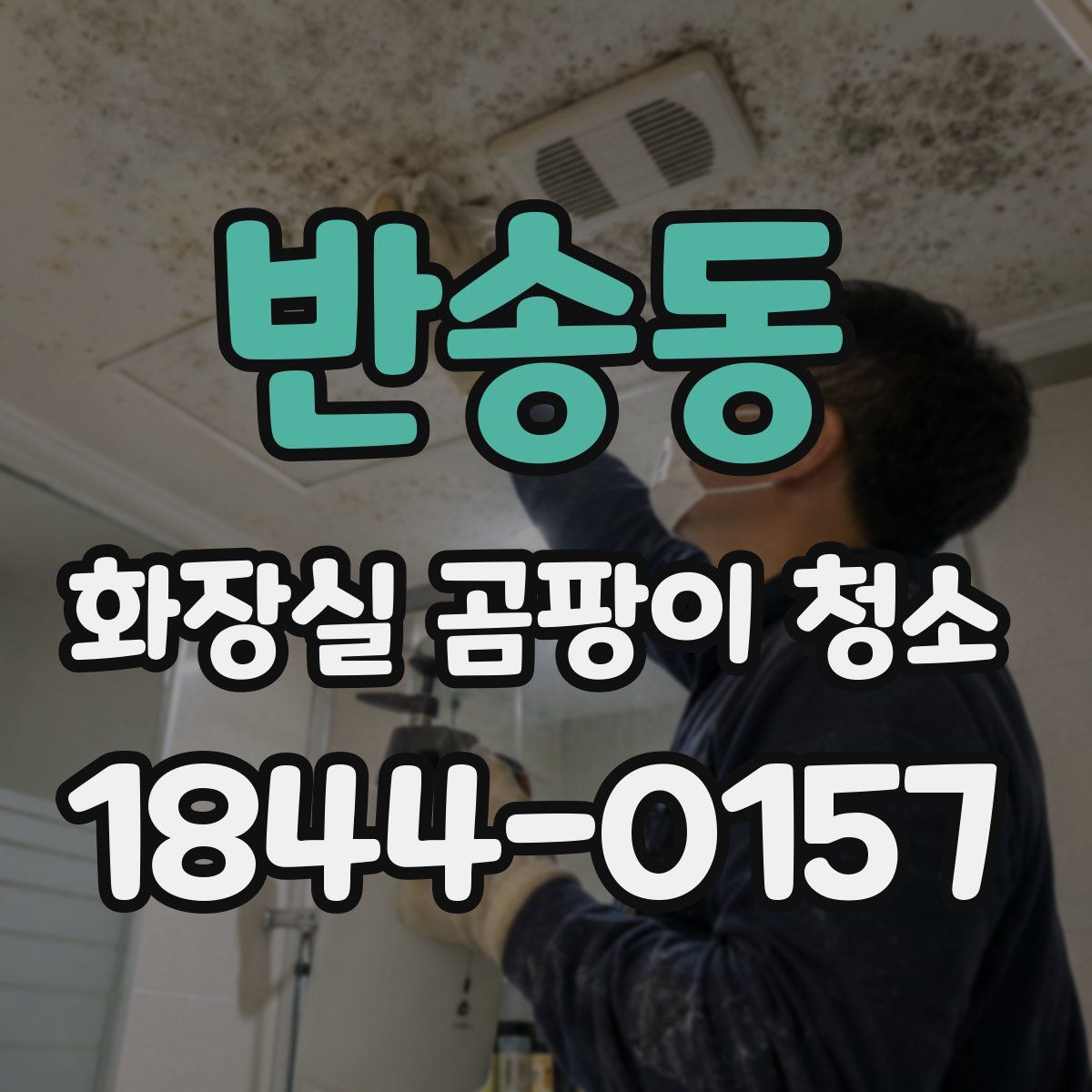 반송동 화장실 곰팡이 청소