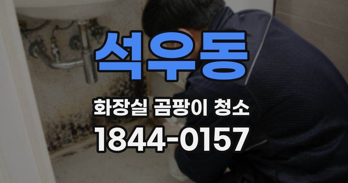 석우동 화장실 곰팡이 청소