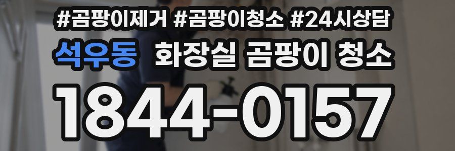석우동 화장실 곰팡이 청소