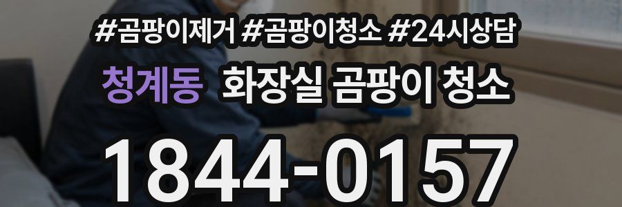청계동 화장실 곰팡이 청소