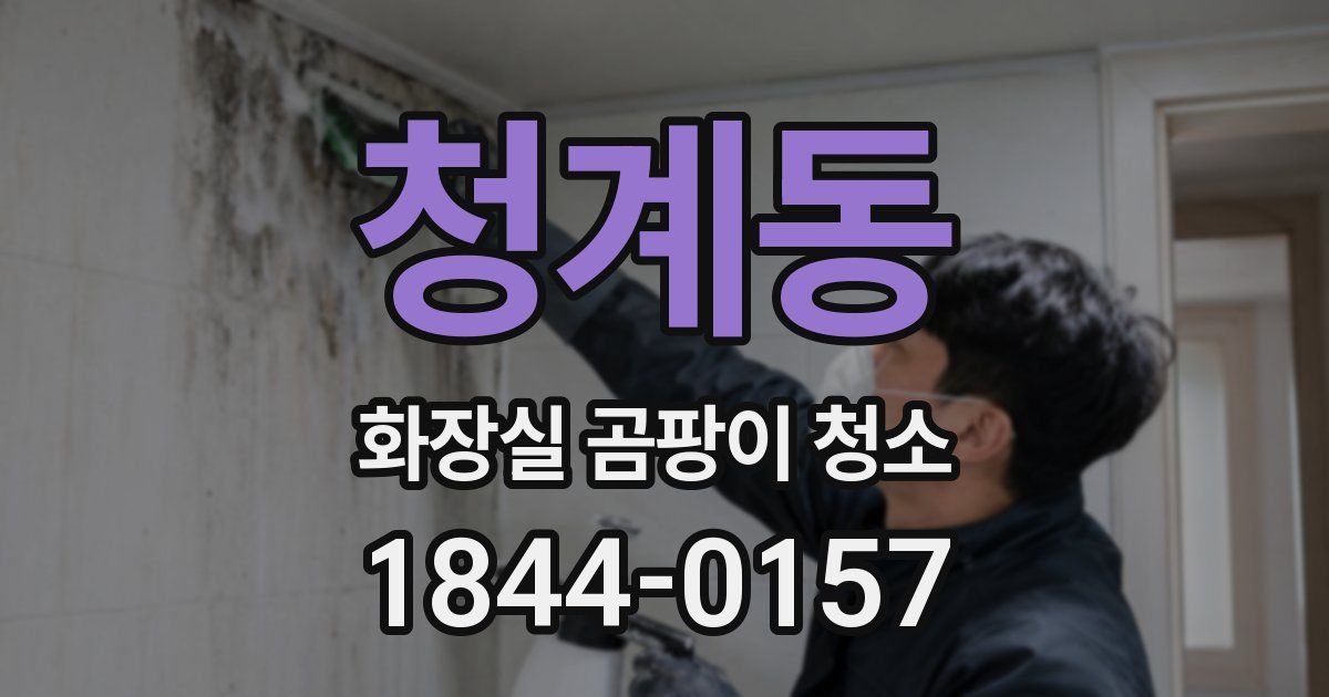 청계동 화장실 곰팡이 청소