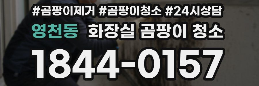 영천동 화장실 곰팡이 청소
