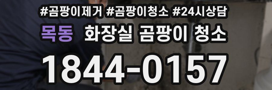 목동 화장실 곰팡이 청소