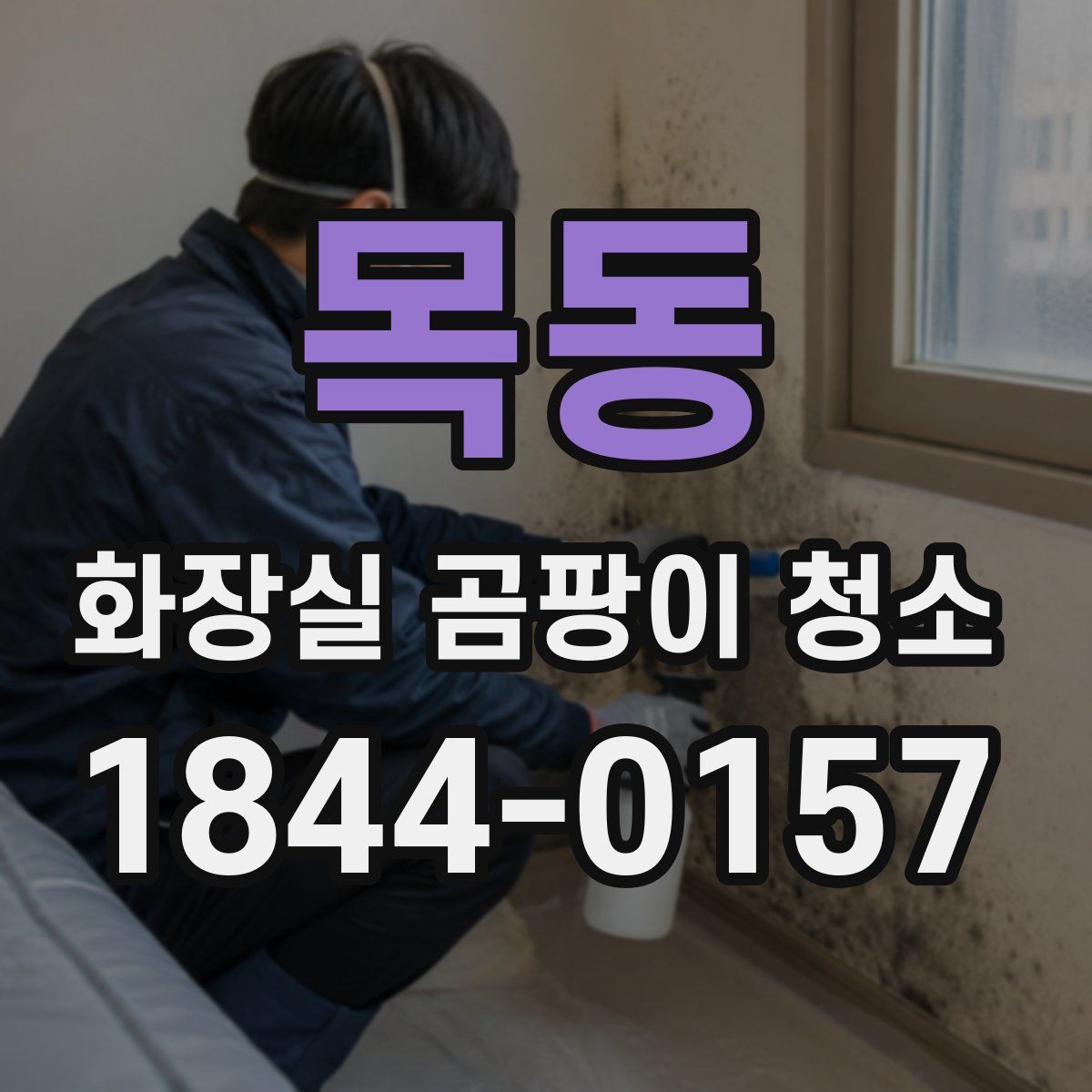 목동 화장실 곰팡이 청소