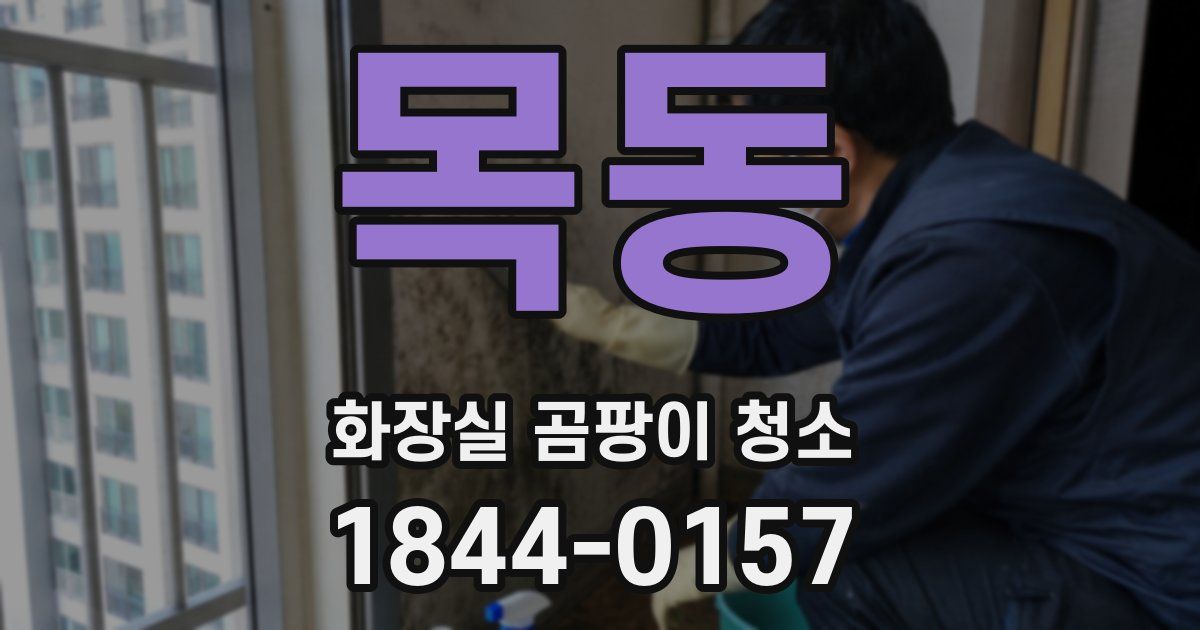 목동 화장실 곰팡이 청소