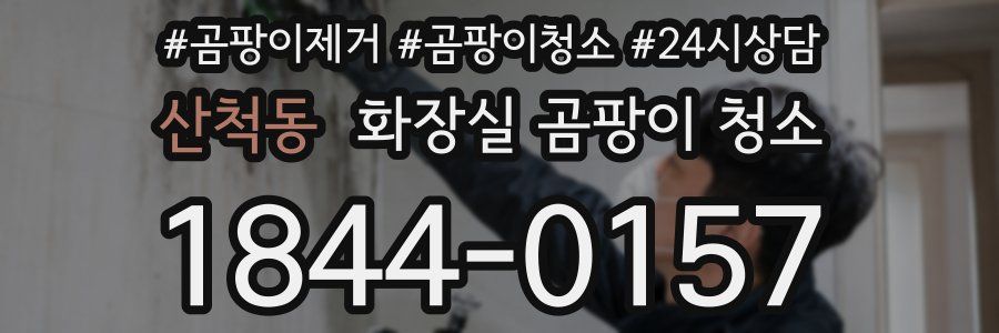 산척동 화장실 곰팡이 청소