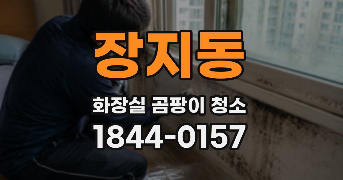 장지동 화장실 곰팡이 청소