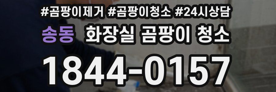 송동 화장실 곰팡이 청소