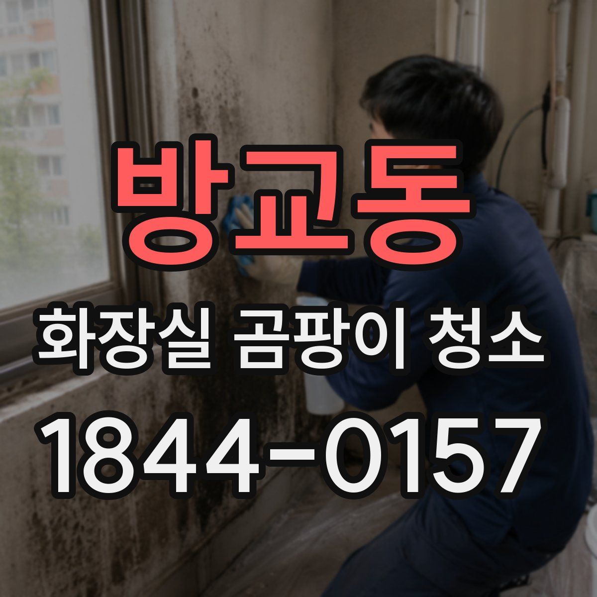 방교동 화장실 곰팡이 청소
