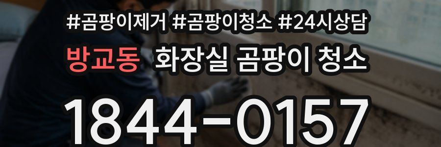 방교동 화장실 곰팡이 청소