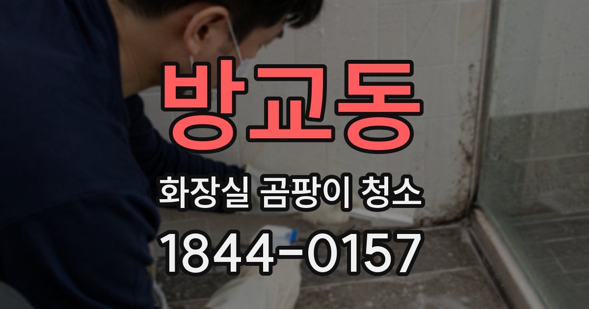 방교동 화장실 곰팡이 청소
