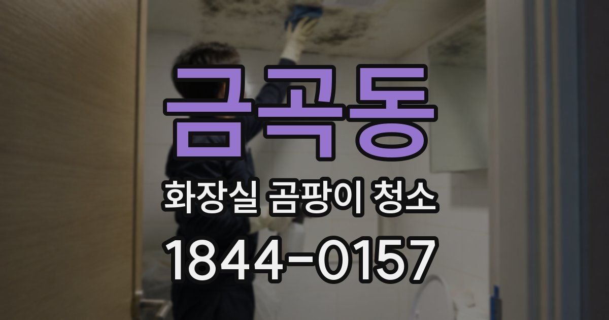 금곡동 화장실 곰팡이 청소