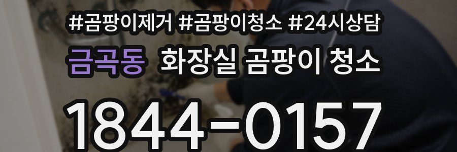금곡동 화장실 곰팡이 청소