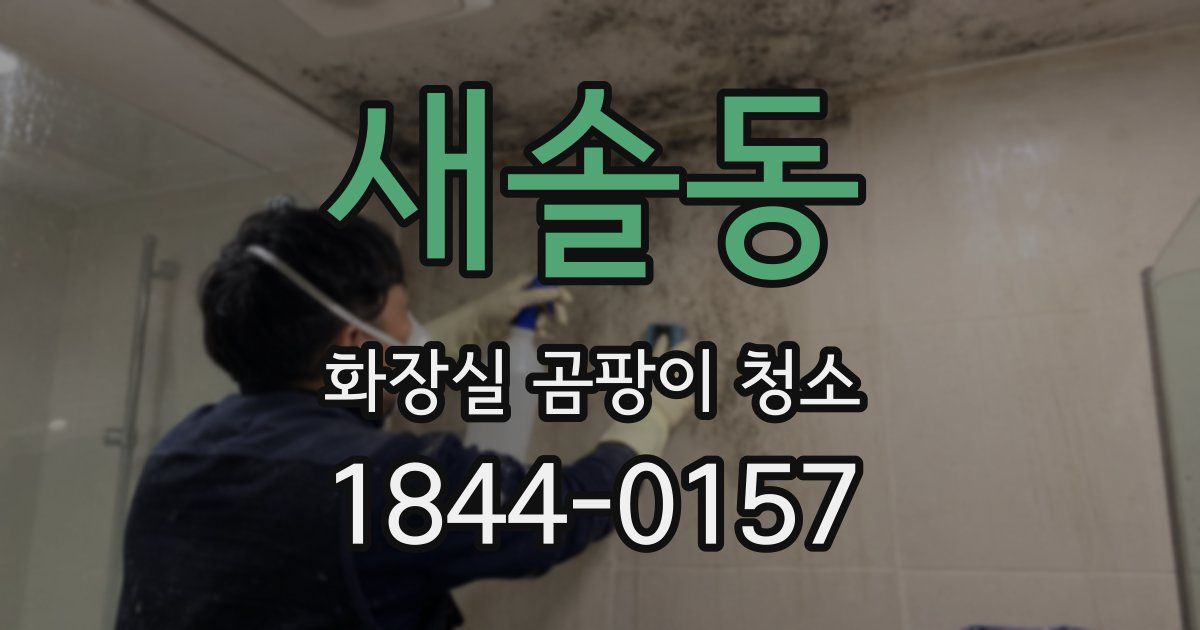 새솔동 화장실 곰팡이 청소