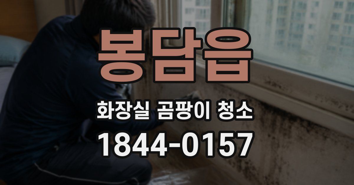 봉담읍 화장실 곰팡이 청소