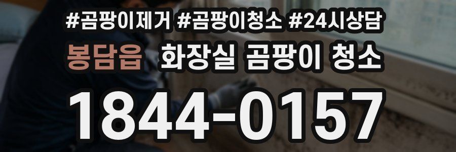 봉담읍 화장실 곰팡이 청소