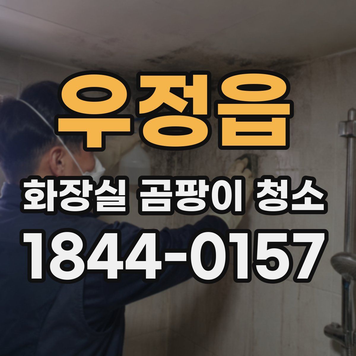 우정읍 화장실 곰팡이 청소