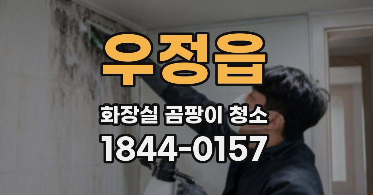 우정읍 화장실 곰팡이 청소