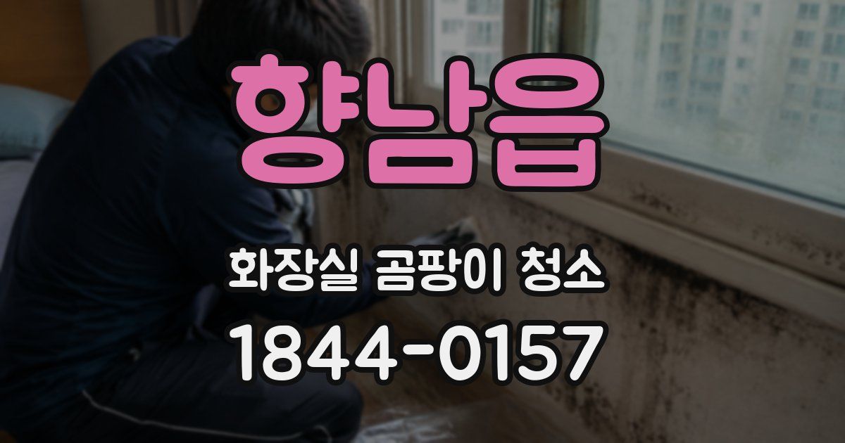 향남읍 화장실 곰팡이 청소