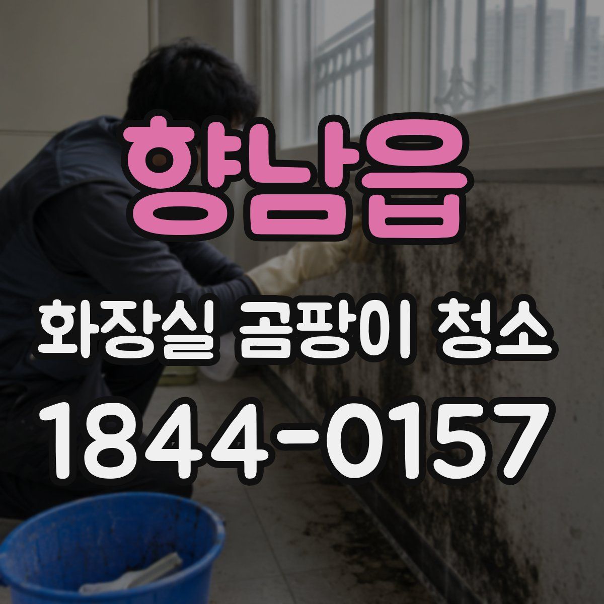 향남읍 화장실 곰팡이 청소