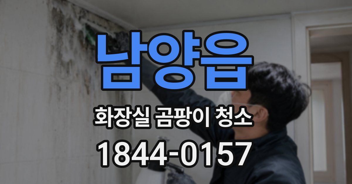 남양읍 화장실 곰팡이 청소